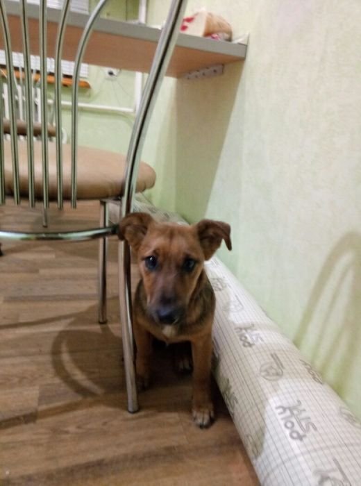 Малыш хочет домой