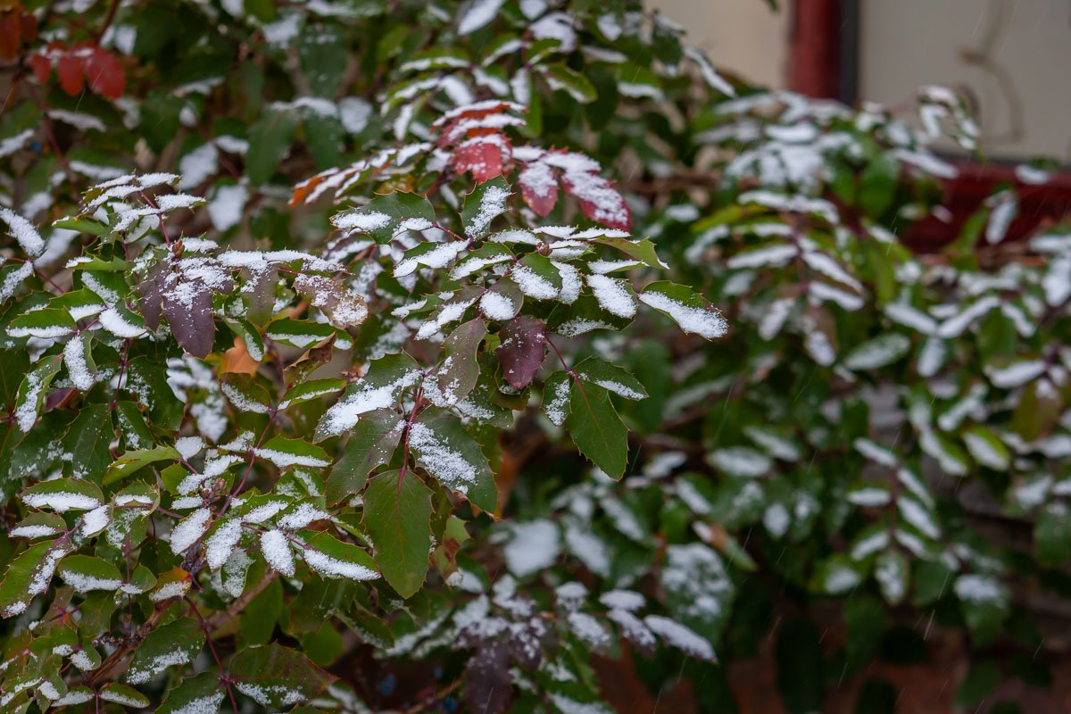 Зима и Весна соревнуются