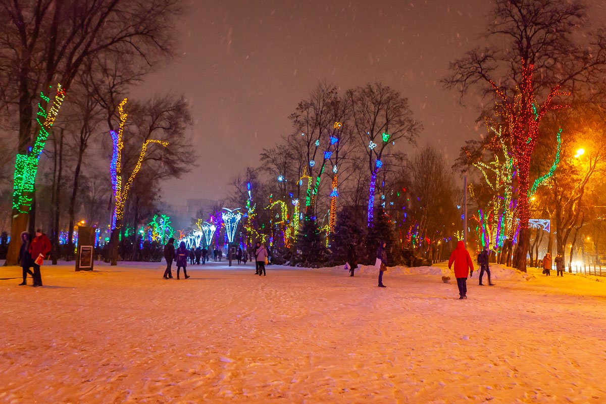 Какая ночь! Мороз трескучий, На небе ни единой тучи; Как шитый полог, синий свод Пестреет частыми звездами.