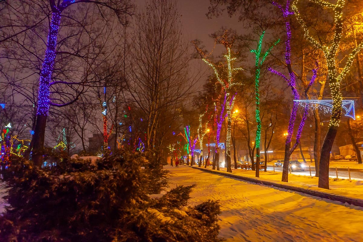 Выпал снег - и все забылось. Чем душа была полна! Сердце проще вдруг забилось. Словно выпил я вина.