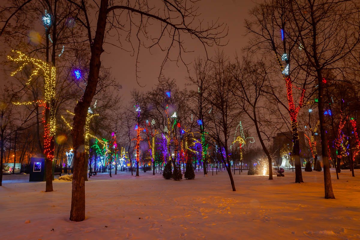 Деревья в саду на морозе как в сказке Застыли в глубоком серебряном сне. И ветви что осенью сбросили краски Покрытые снегом блестят при луне.