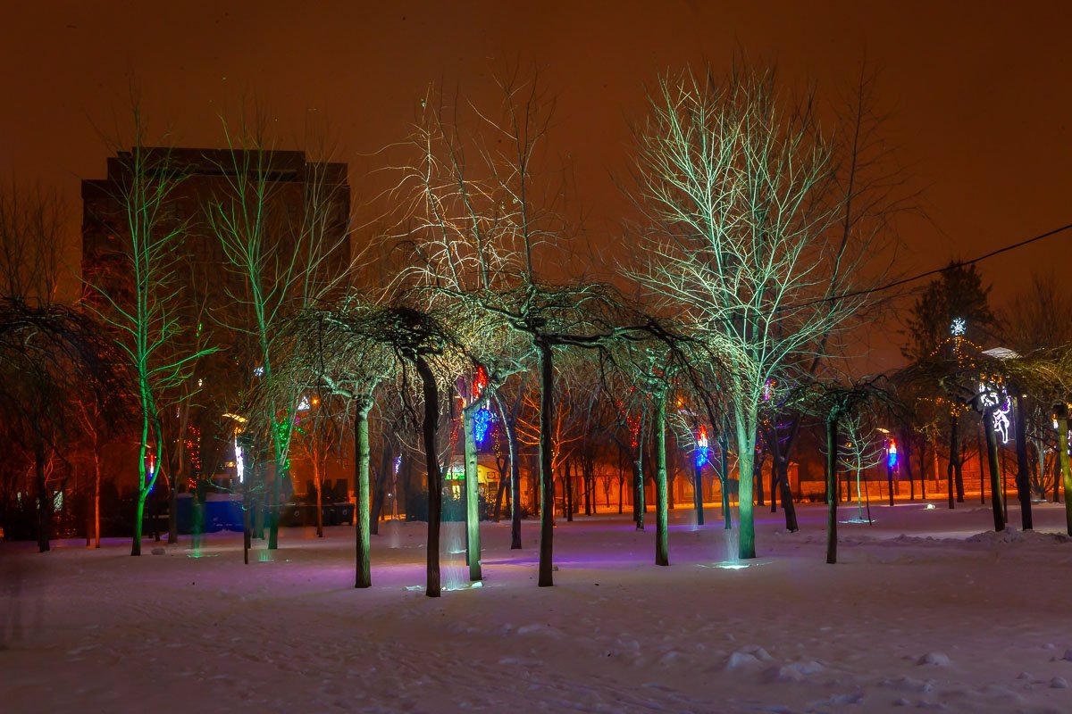 Снег идёт, снег идёт. К белым звездочкам в буране Тянутся цветы герани За оконный переплёт.