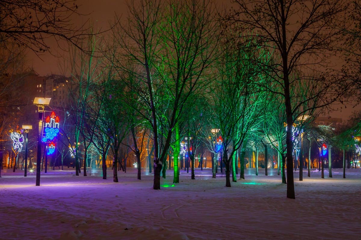 Хоть в зимний час приходят дни с востока, А всё еще природа хороша; Она не спит безмолвно и глубоко, Морозом в ней не скована душа.