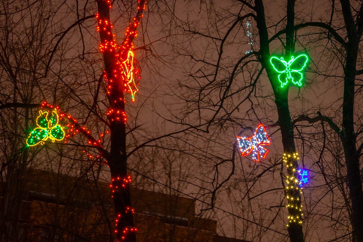 Сегодня за окном белым-бело, Морозом дышит облачное небо… Дома, дороги снегом замело… Танцуя, ветер кружится нелепо…