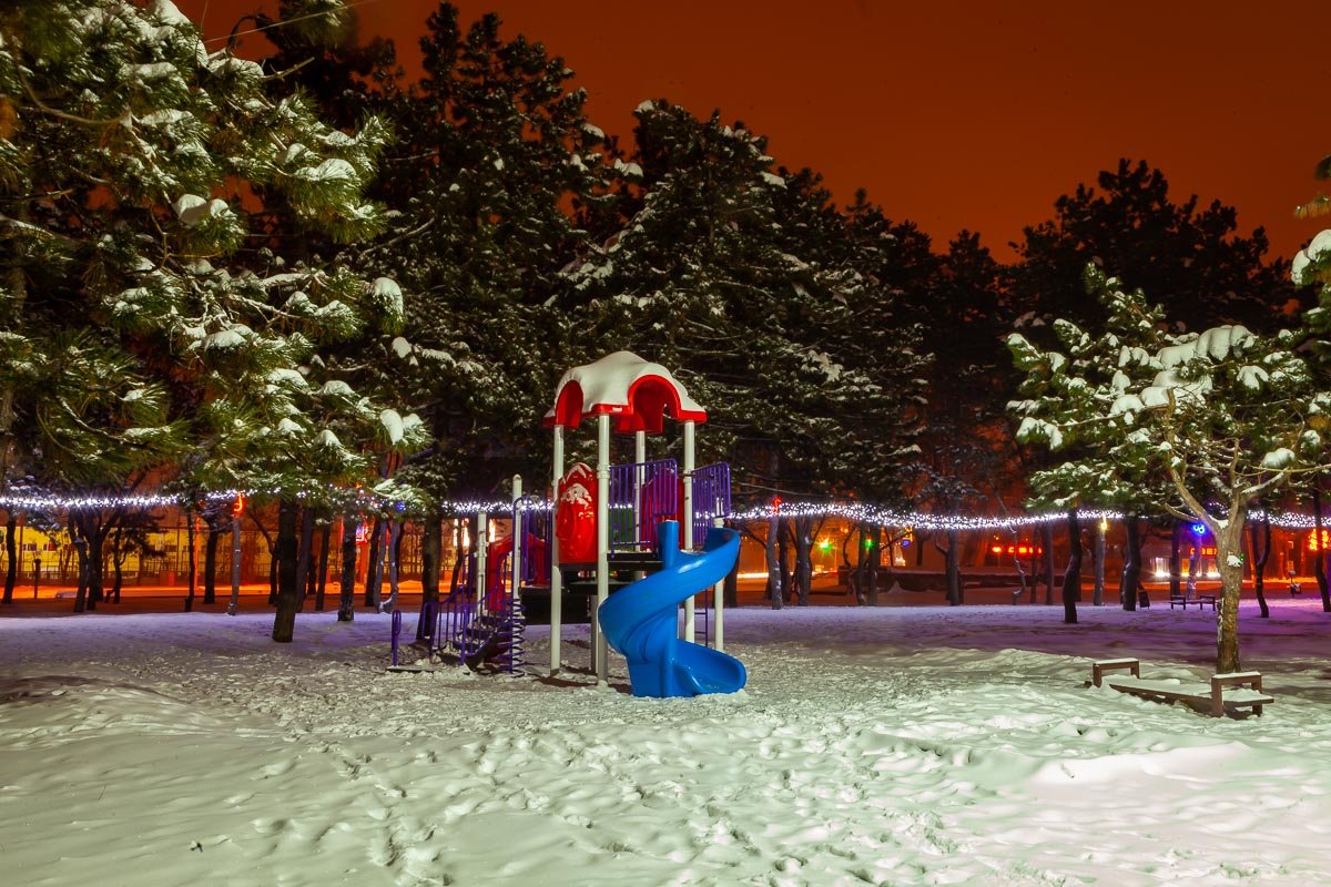 Катаются даже зимой Катаются даже зимой