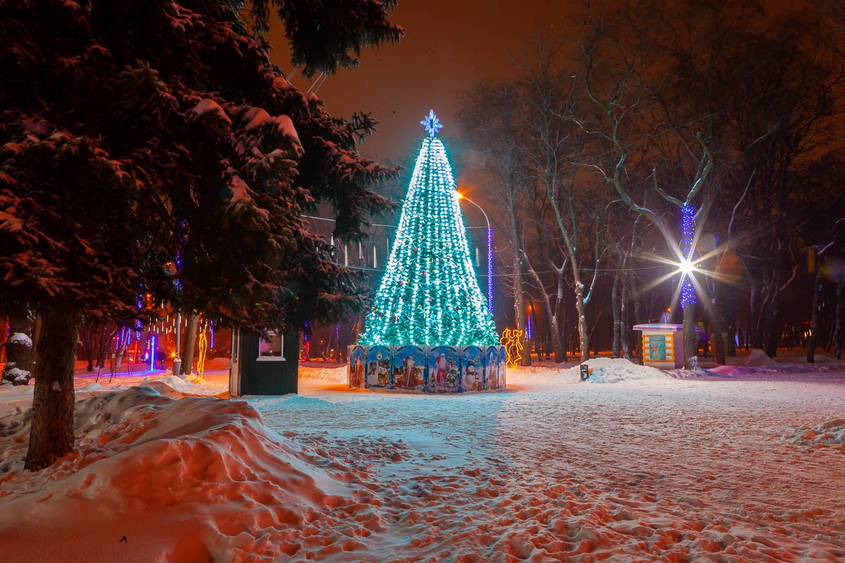 Елка, как и в каждом парке Елка, как и в каждом парке
