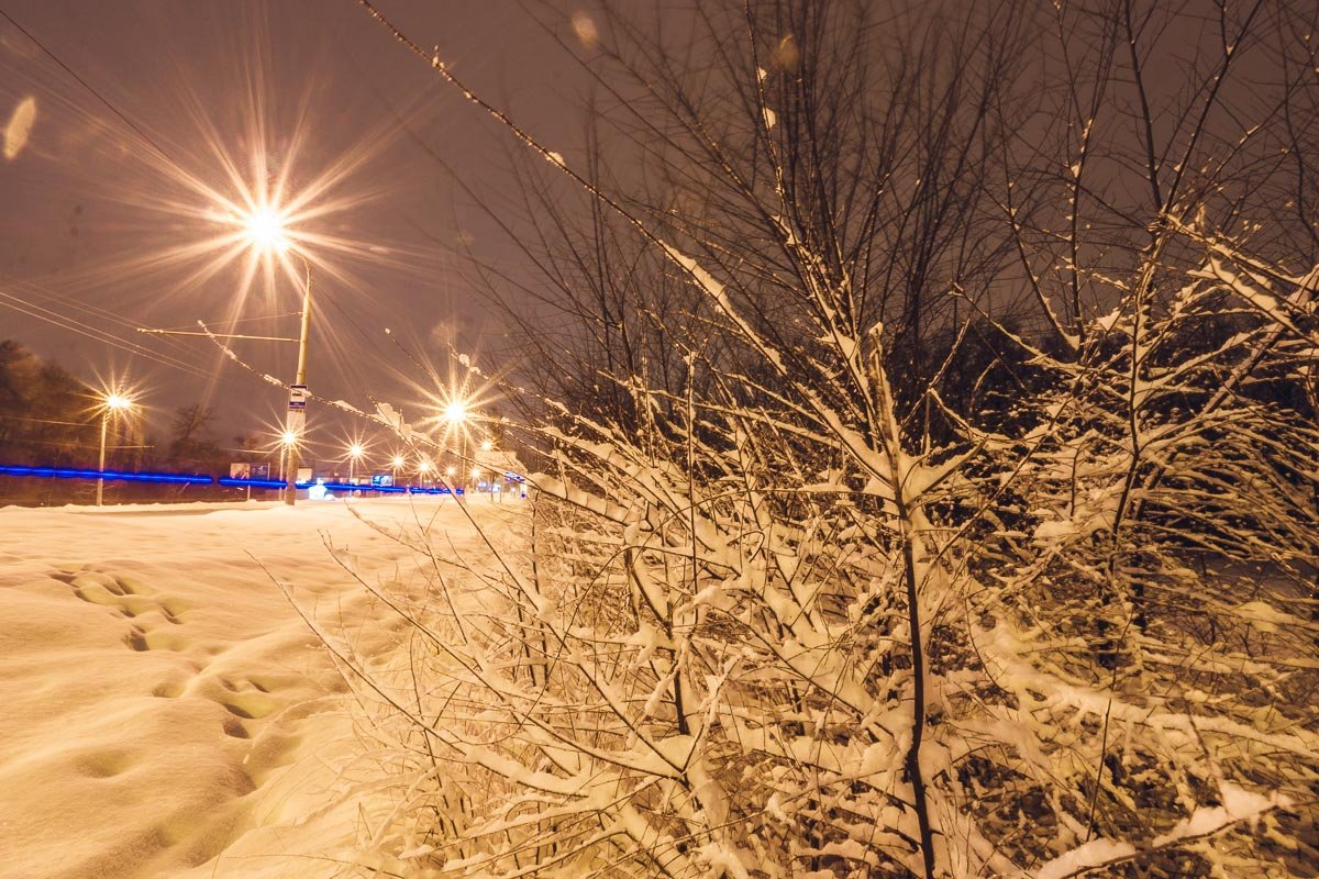 Деревья любят снег. Поэтому держать его на своих ручках Деревья любят снег. Поэтому держать его на своих ручках