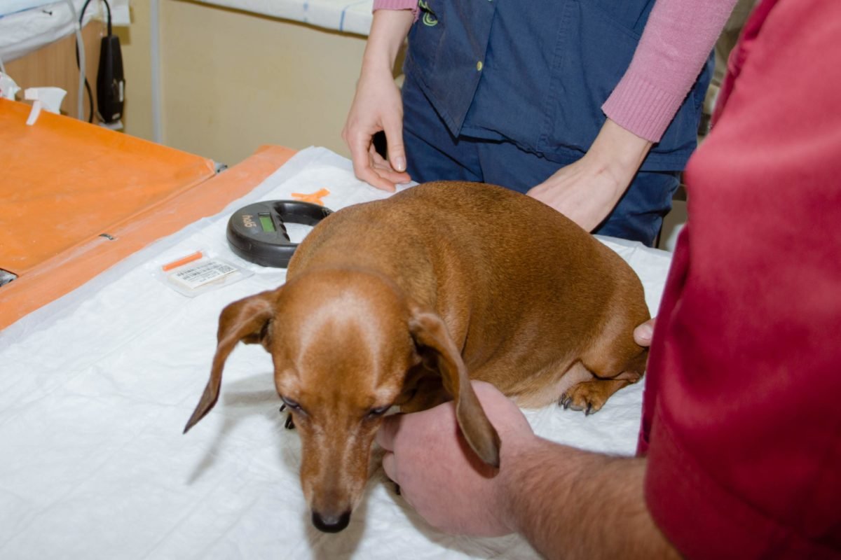 Сейчас комплексное обследование здесь проходит такса Сейчас комплексное обследование здесь проходит такса