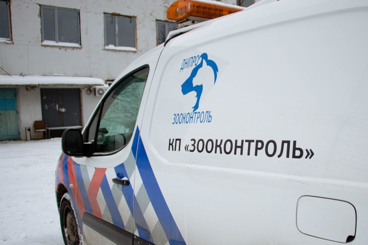 КП развивается КП развивается