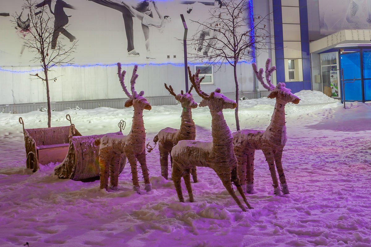 Ждут своего деда