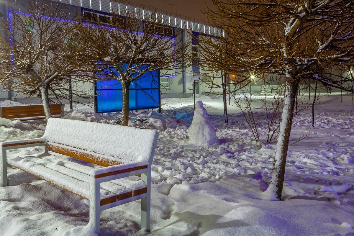 Снеговики бывают разные