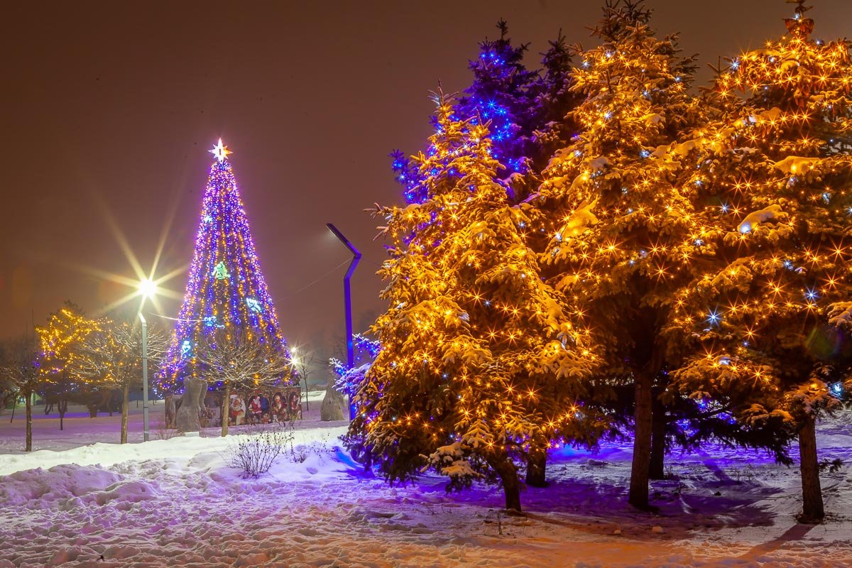 Растительность украсили по максимуму 