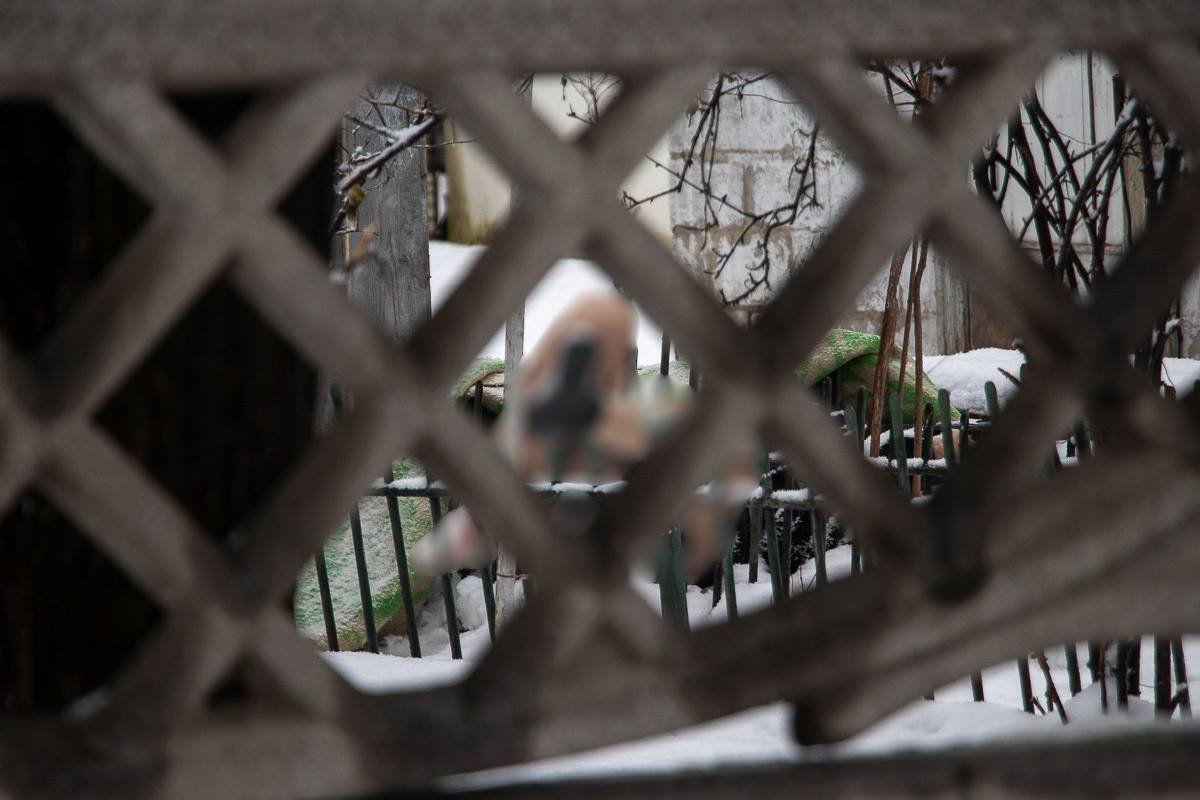 На месте работают правоохранители, которые выяснят все детали инцидента На месте работают правоохранители, которые выяснят все детали инцидента