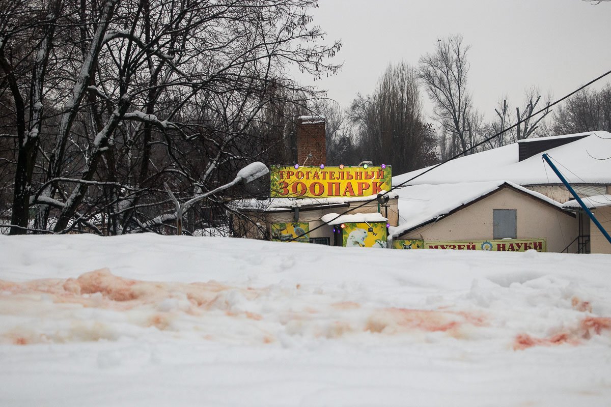 Предварительно, на парня напал его знакомый Предварительно, на парня напал его знакомый