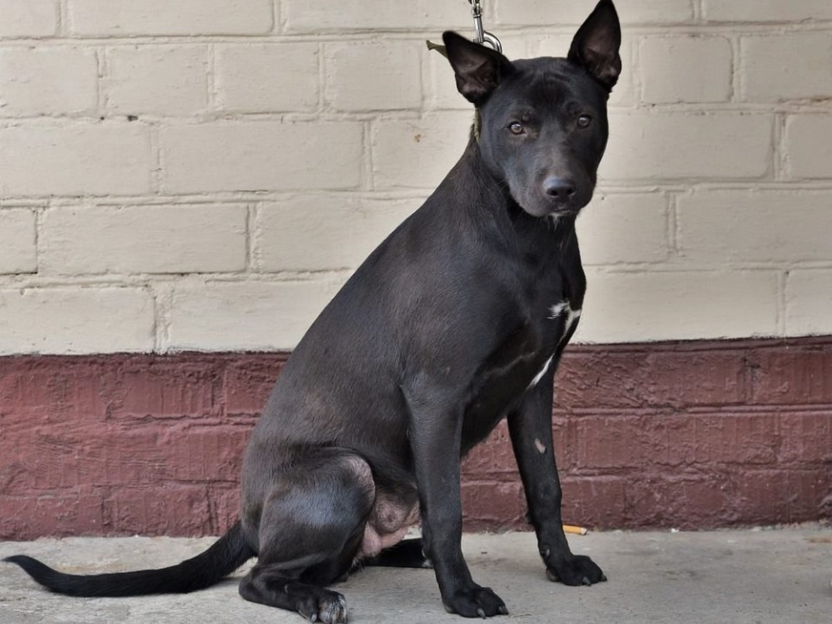 Вот как в нее не влюбиться?