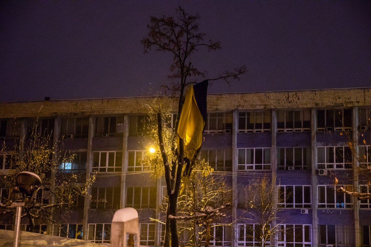 Сине-желтое полотно повисло на ветках дерева