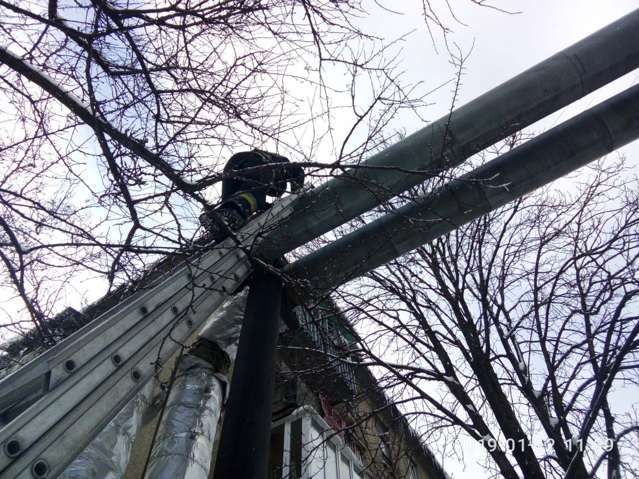Котенок не мог слезть самостоятельно  Котенок не мог слезть самостоятельно