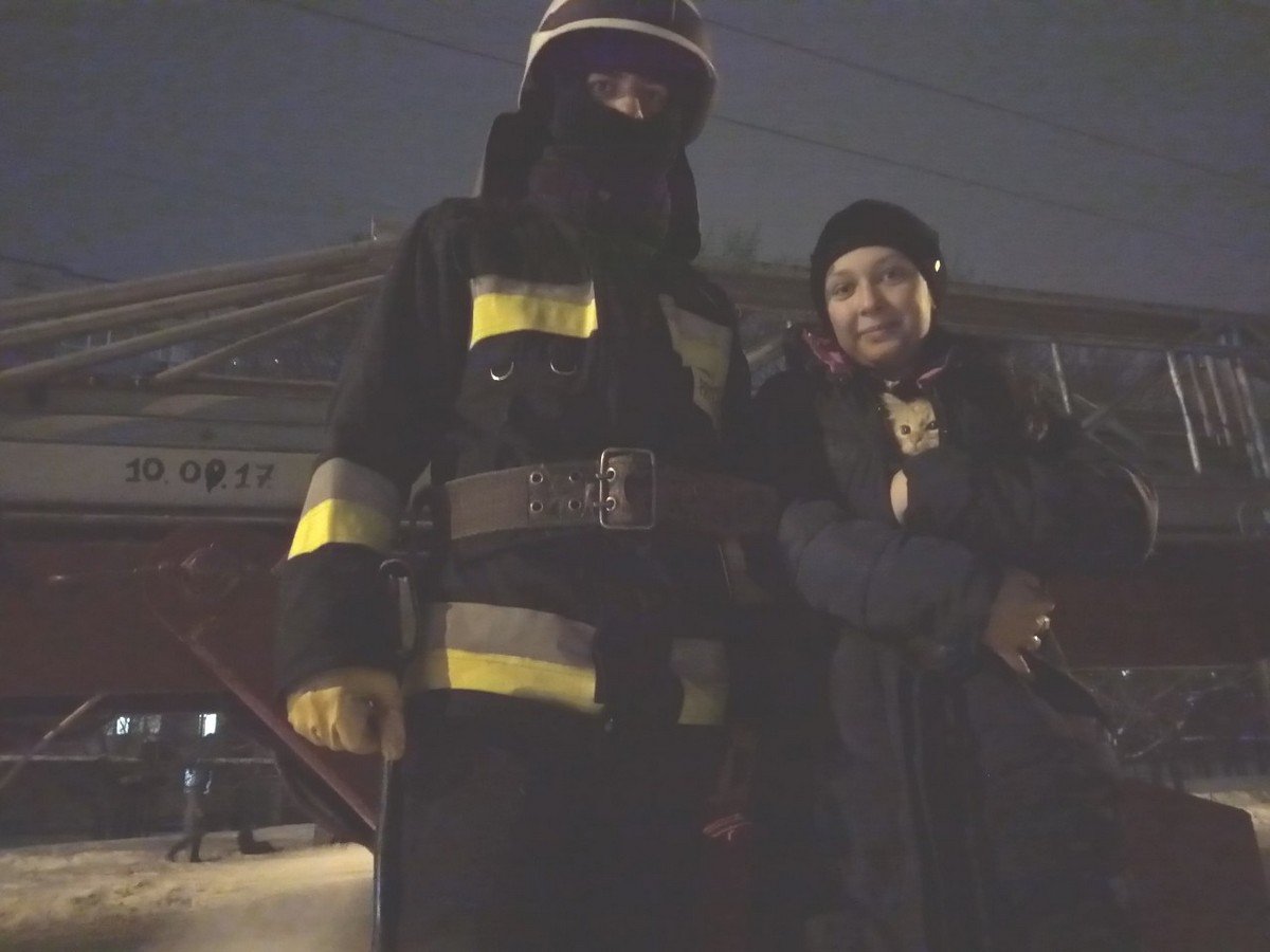 Животное спасли и отдали хозяевам Животное спасли и отдали хозяевам