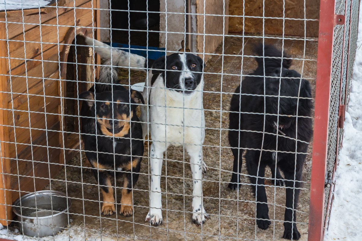 Пссс, парень, не хочешь немного любви?