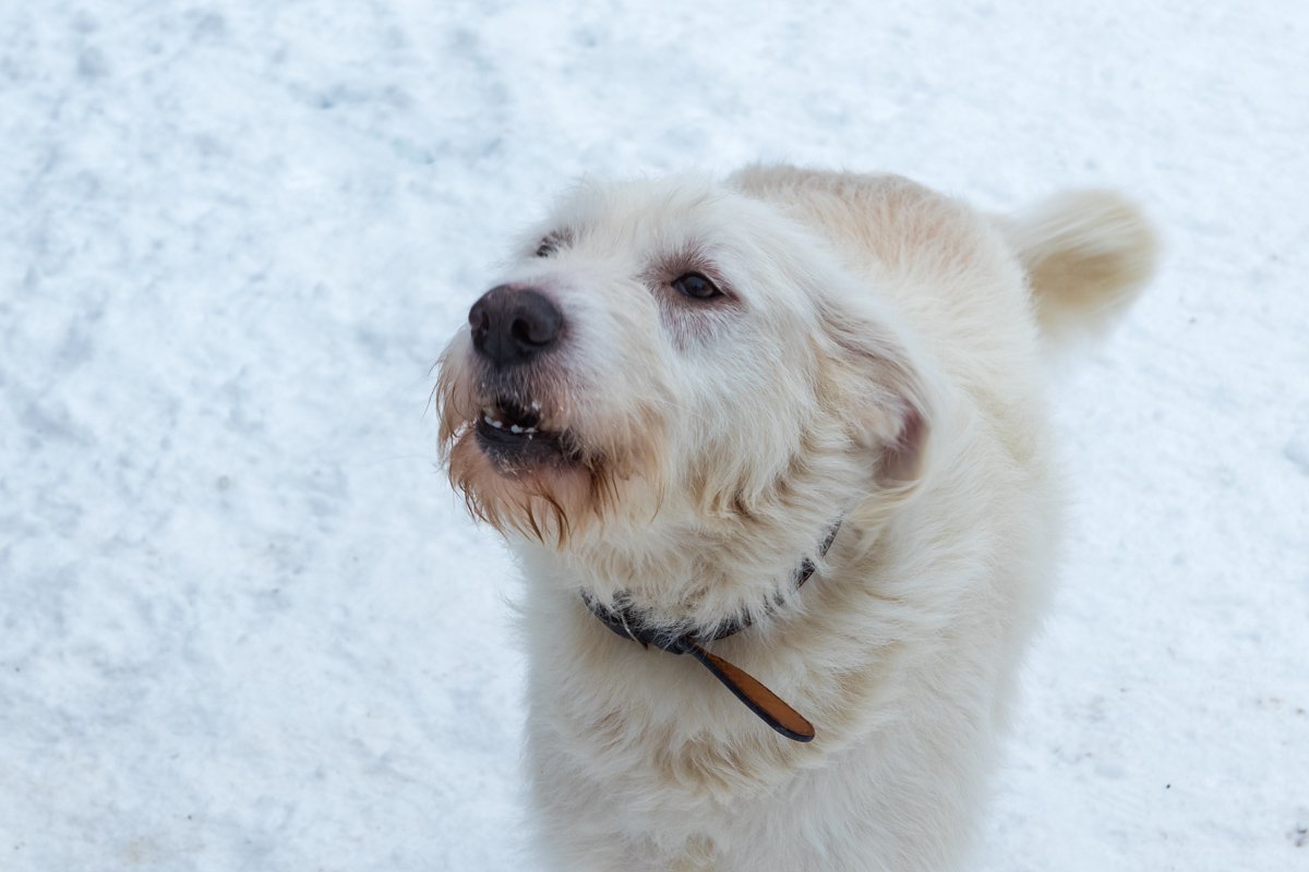 Малыш болен эпилепсией, на его лечение необходимо много тратиться