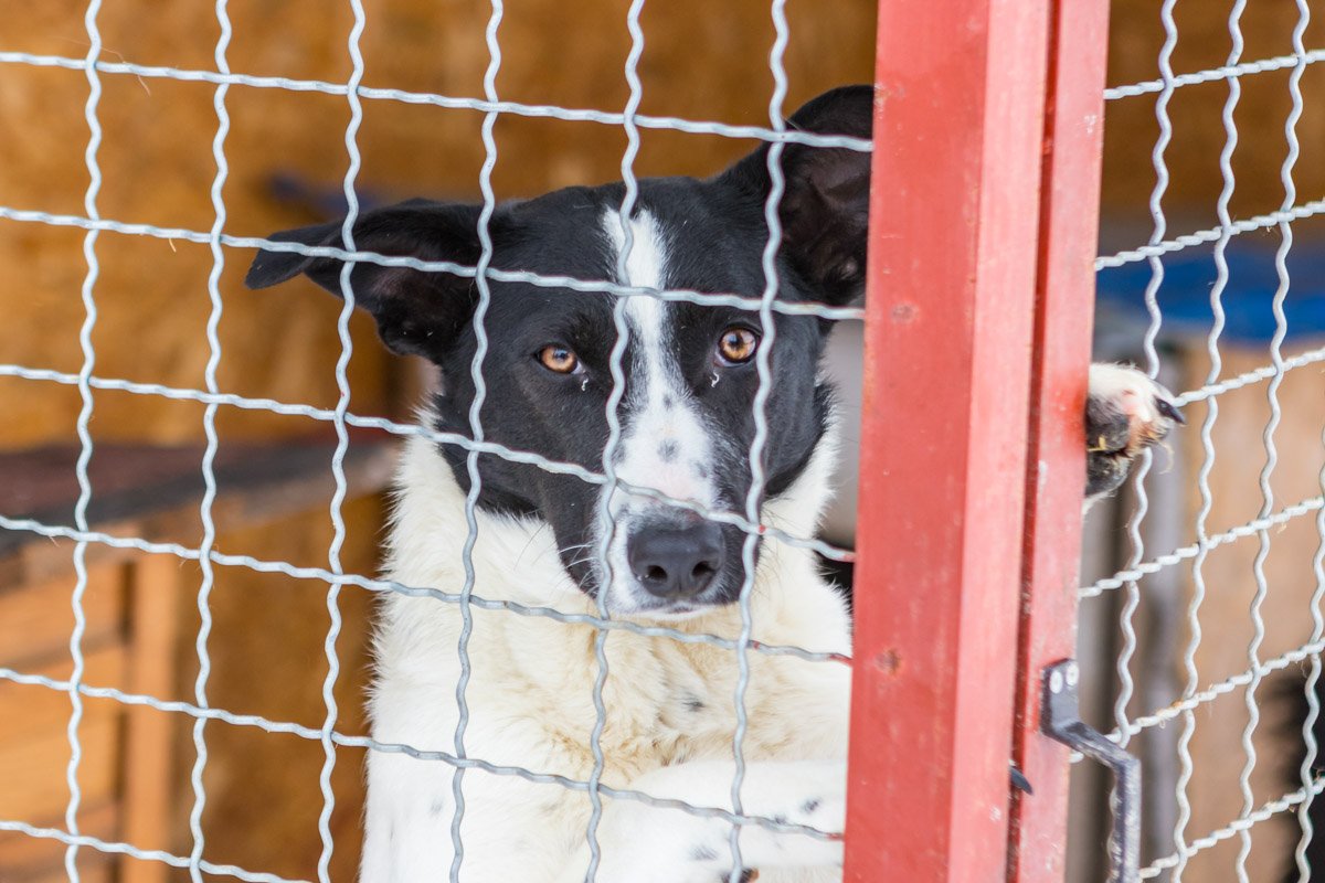Ищет в вашей душе немного тепла