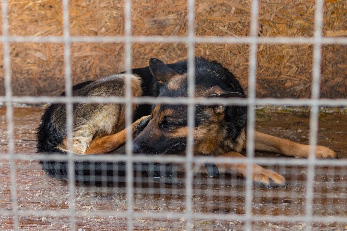 Хочется тепла