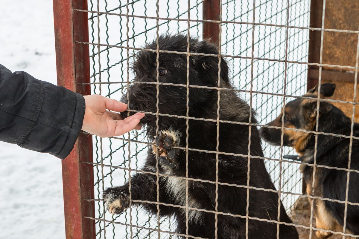 Мам, я все еще жду