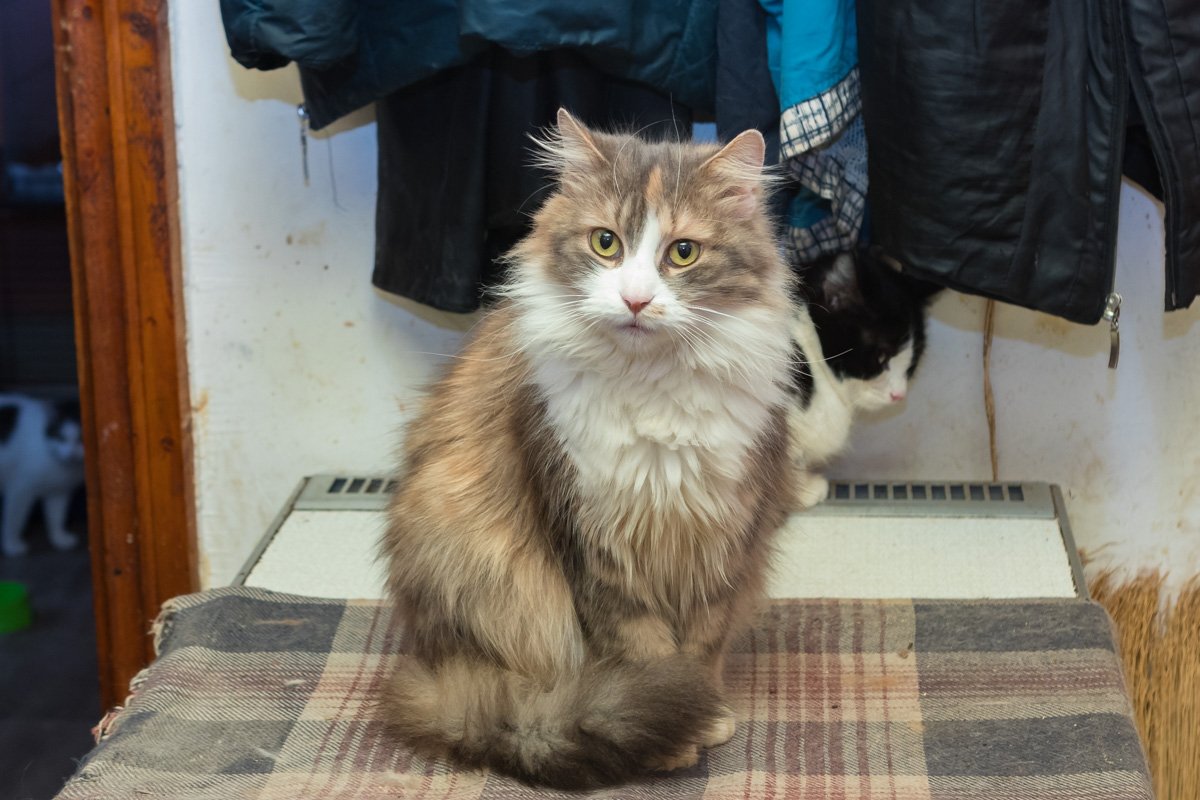 Даже на фото видно, как она затмевает других