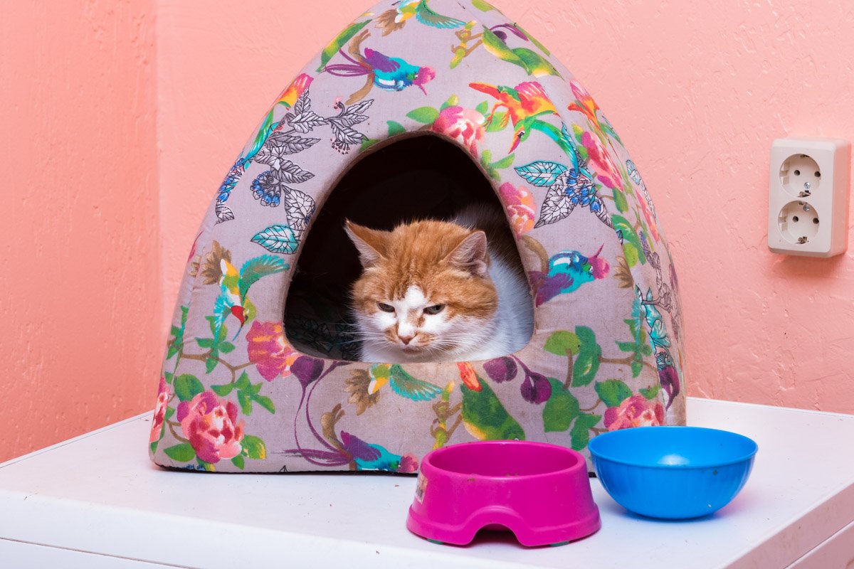 Не злюка, просто устал ждать