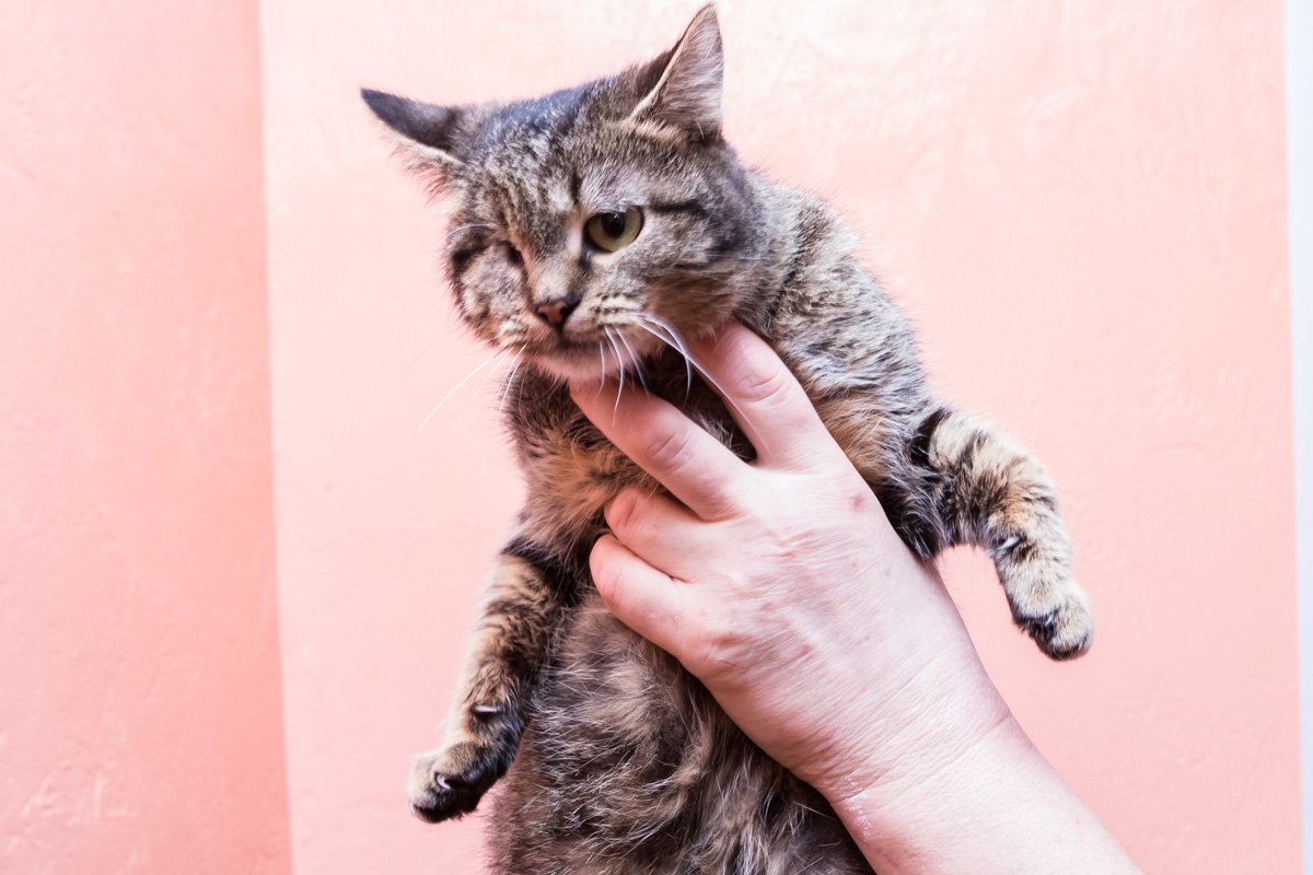 Малыш такой же, как и все