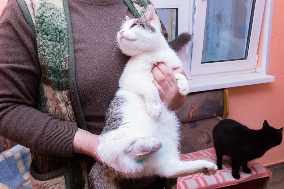 Готова замурчать вас до потери пульса