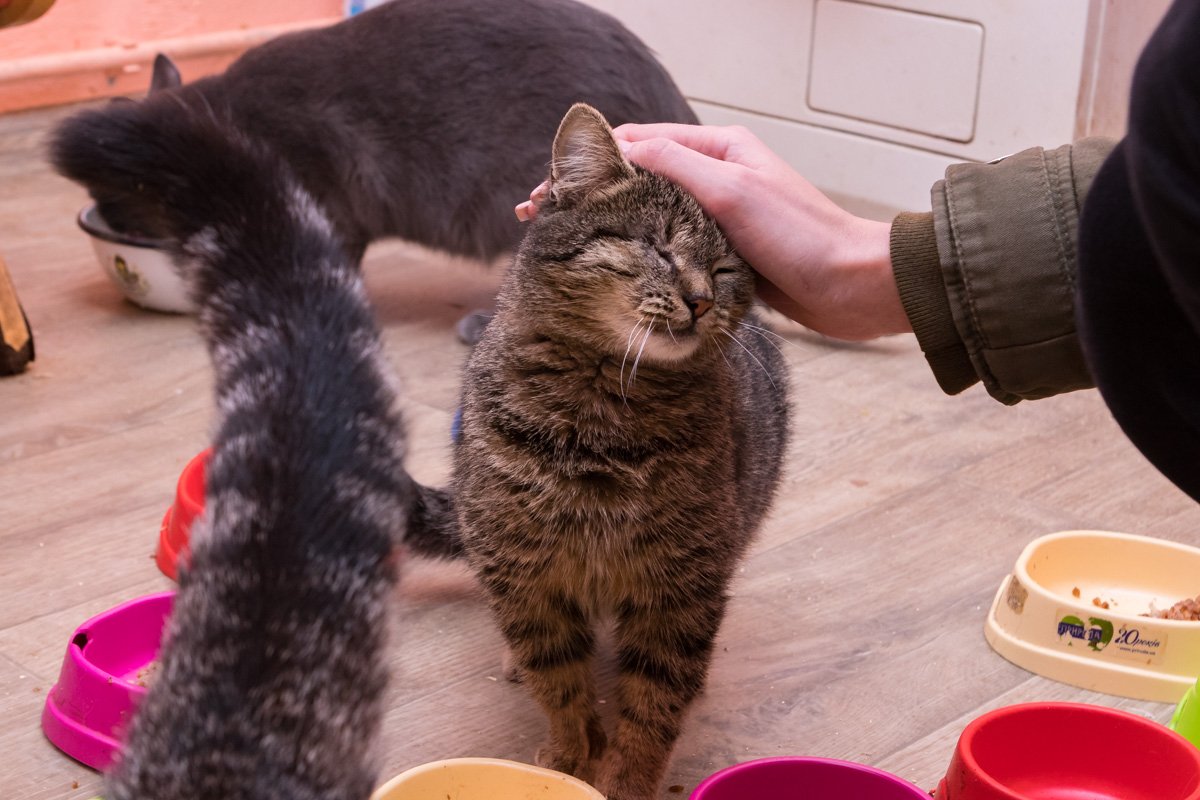 Любвеобильные малыши