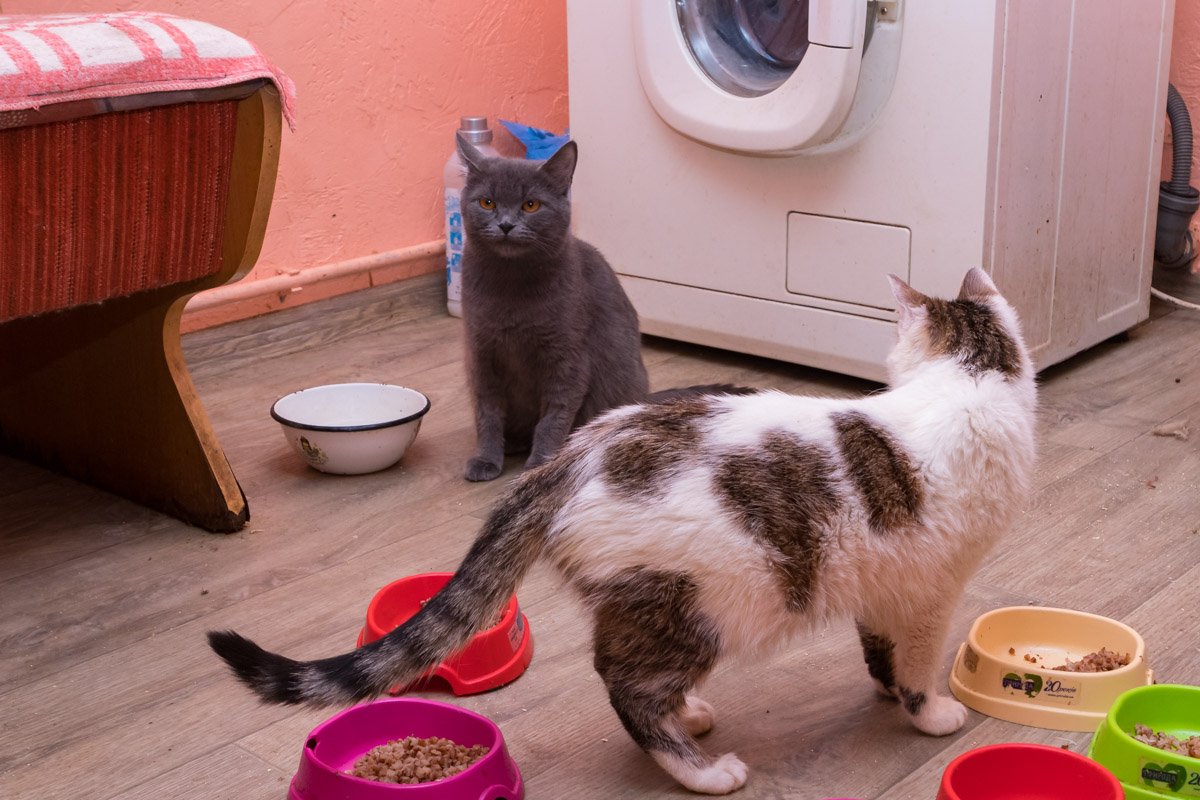 Вам нужен такой друг