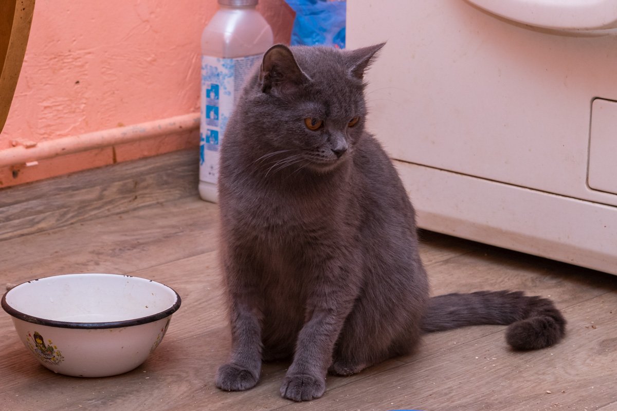 Мягкий и пушистый