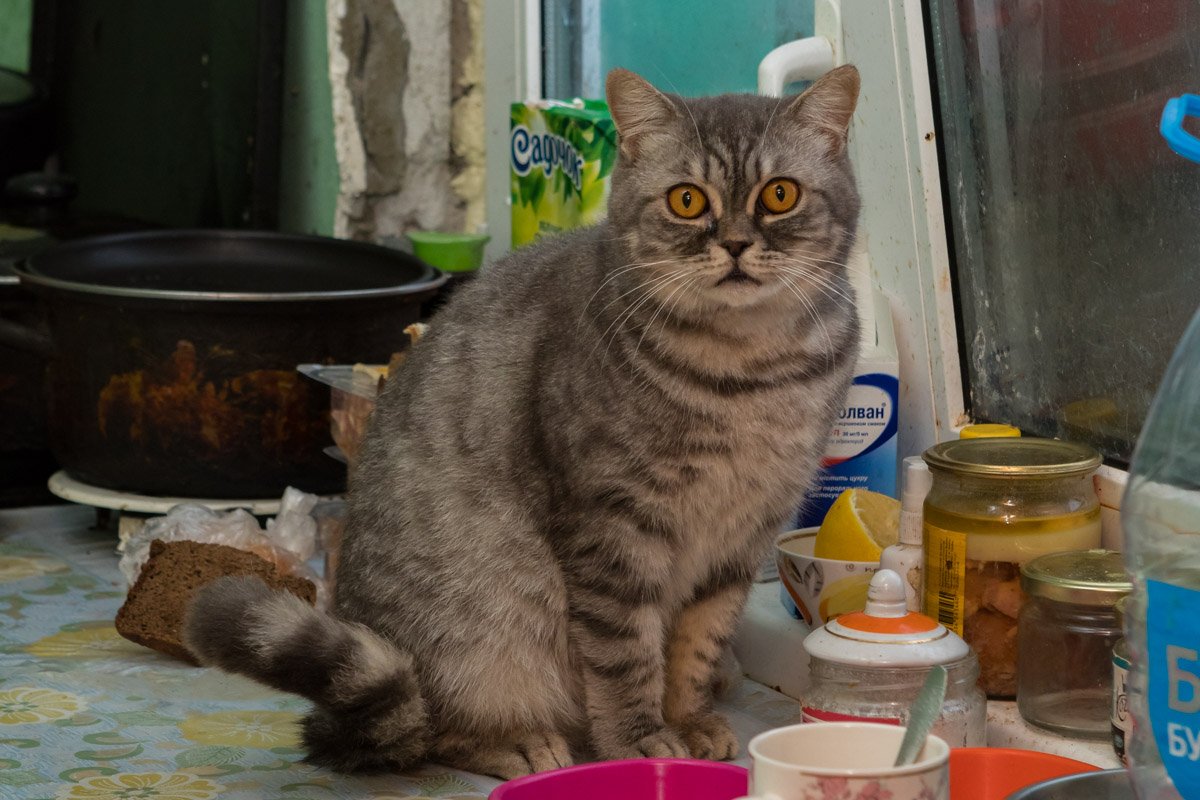 Ты что не за мной?