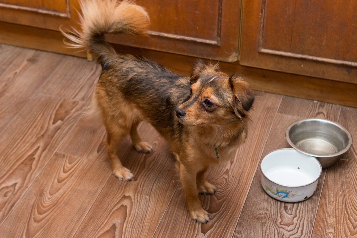 Тоже хочу тискаться