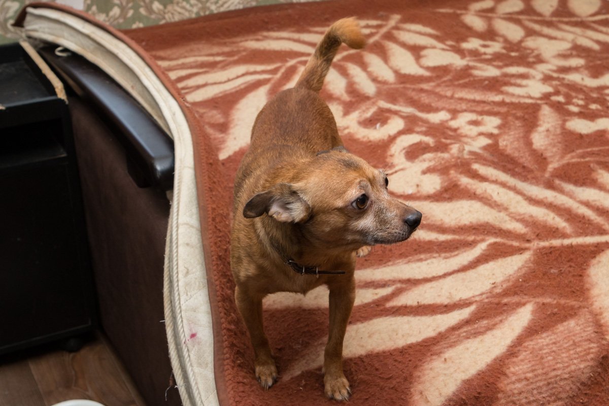 Где тискаются?