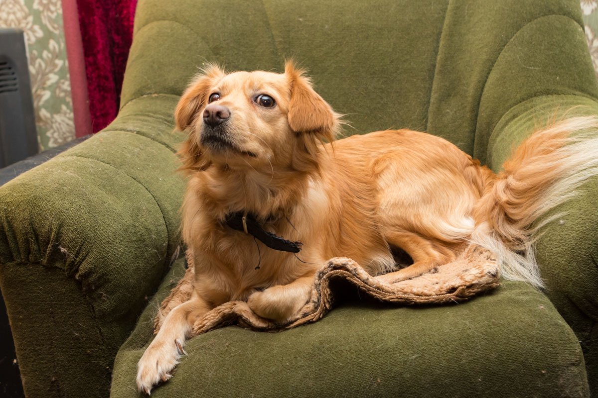 Просто приезжайте за ней. Не нужно выдумывать причины почему нет