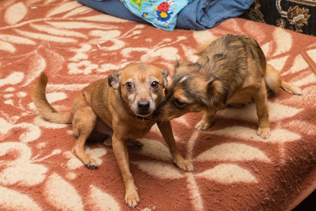 Мы обязательно будем любимы