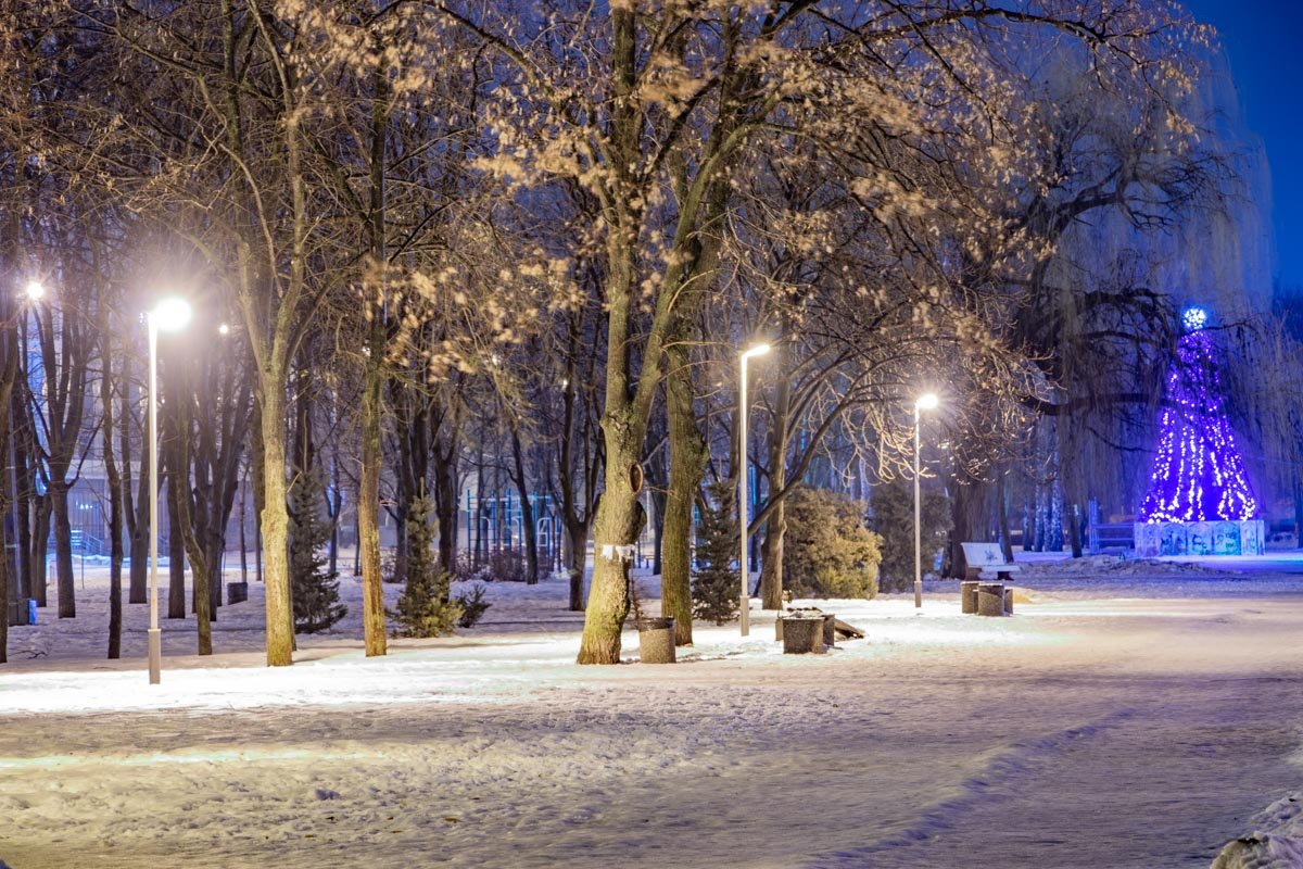 Бульвар Славы под покровом ночи  Бульвар Славы под покровом ночи