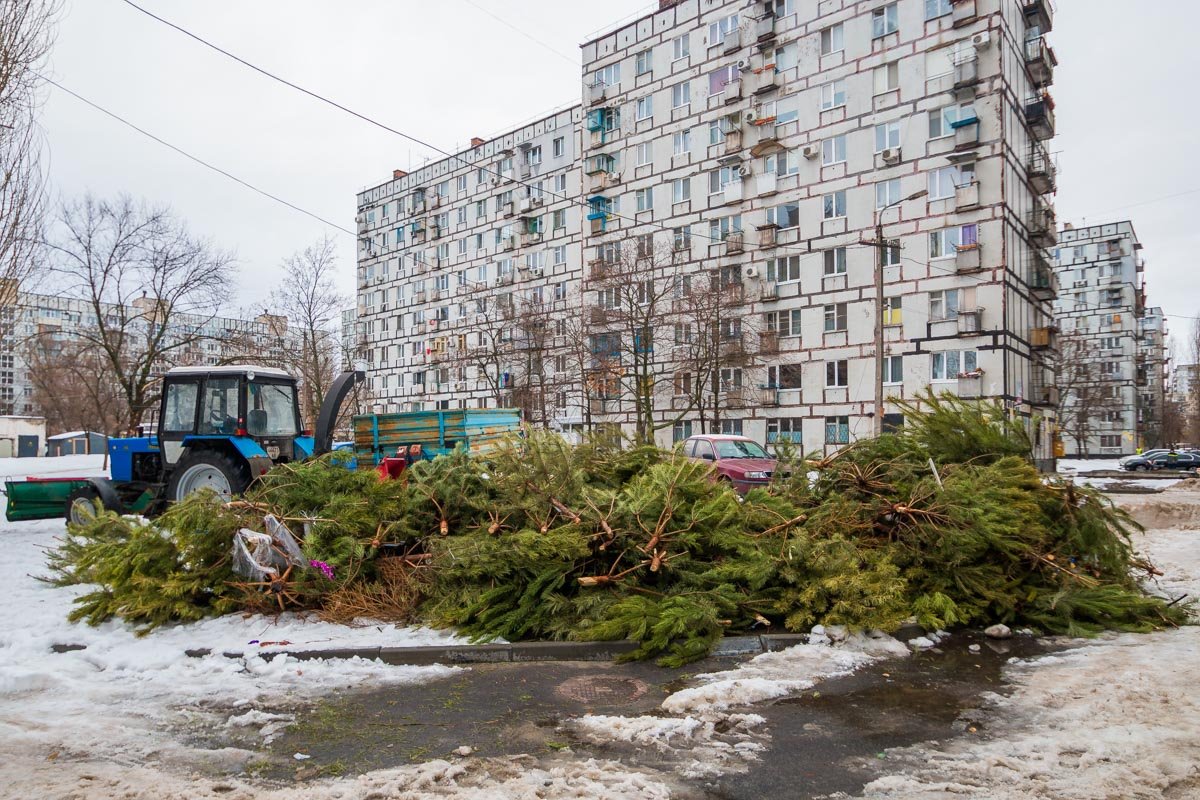 Коммунальщики с радостью превратят ваше дерево в щепки