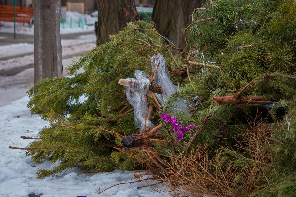Щепой в будущем будут отапливать два коммунальных предприятия