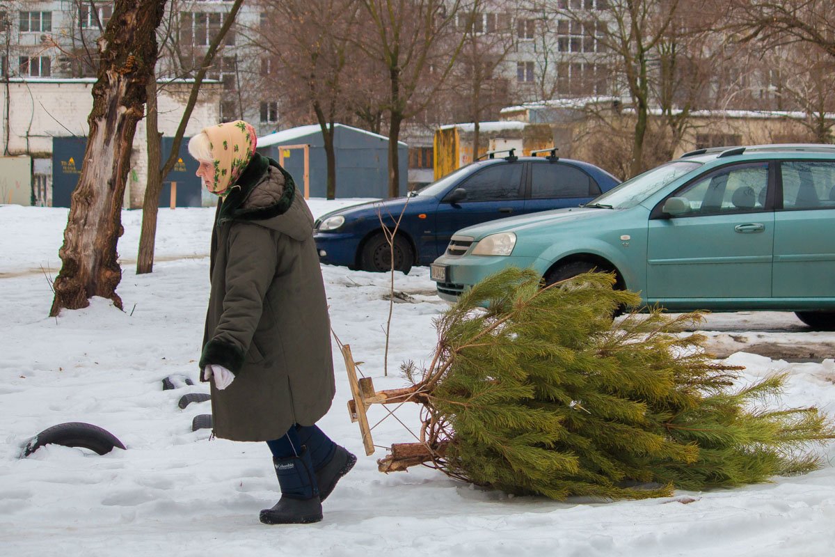 Не ленитесь и несите елки именно в пункты утилизации