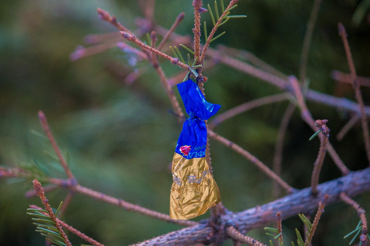И пусть отсутствие елочки в доме не портит вам настроение :)