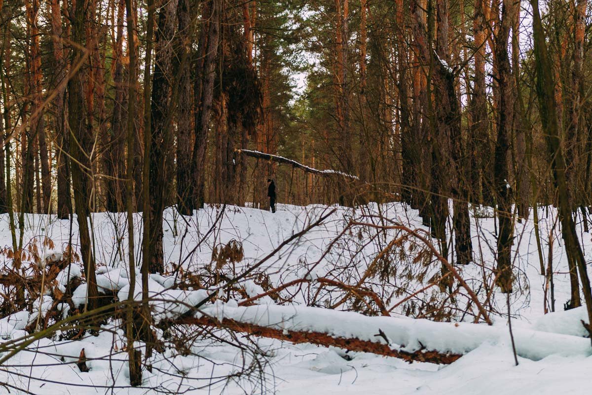 Прохожие заметили мужчину, который неподвижно стоял в чаще леса