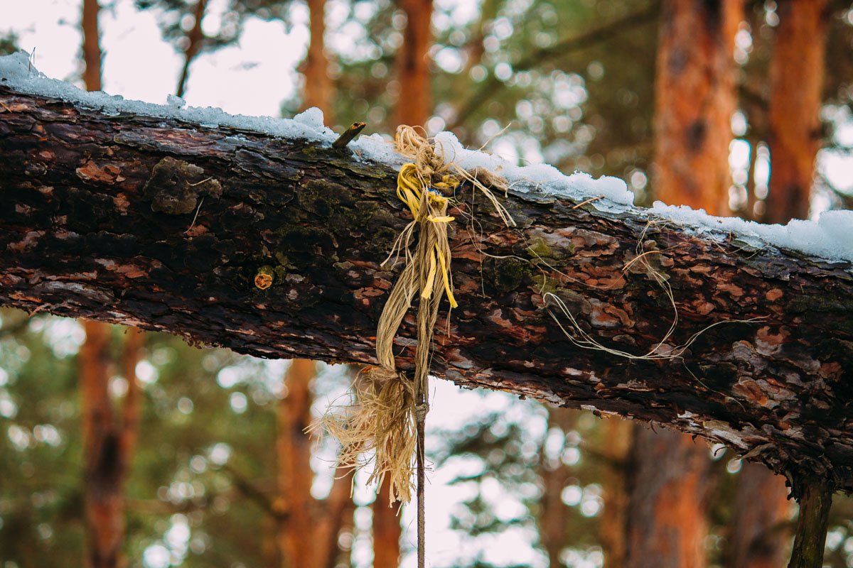 Подойдя ближе, они увидели петлю