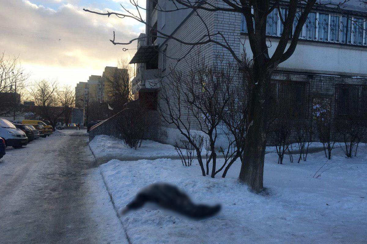 Тело мужчины нашли возле дома № 154 на улице Рабочей Тело мужчины нашли возле дома № 154 на улице Рабочей