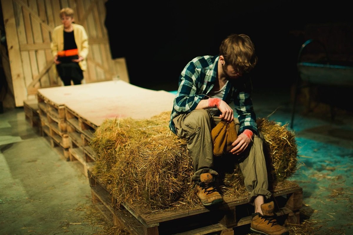 Спектакль "Том на ферме" в Днепре Спектакль "Том на ферме" в Днепре