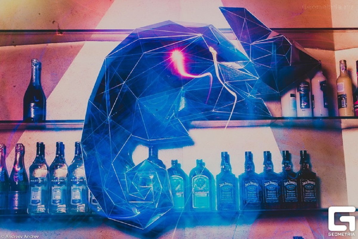 Вечеринка в Chameleon night club Вечеринка в Chameleon night club