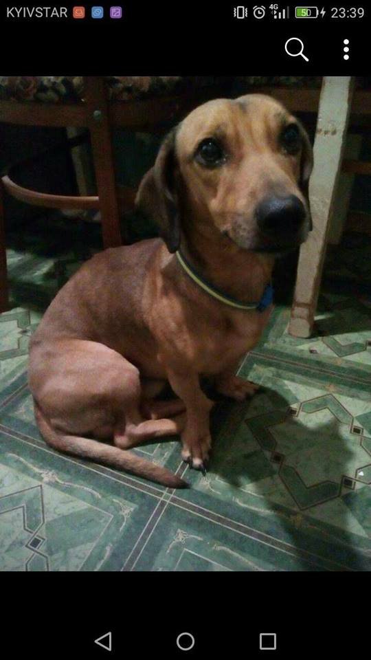 Так не бывает на свете... Так не бывает на свете...